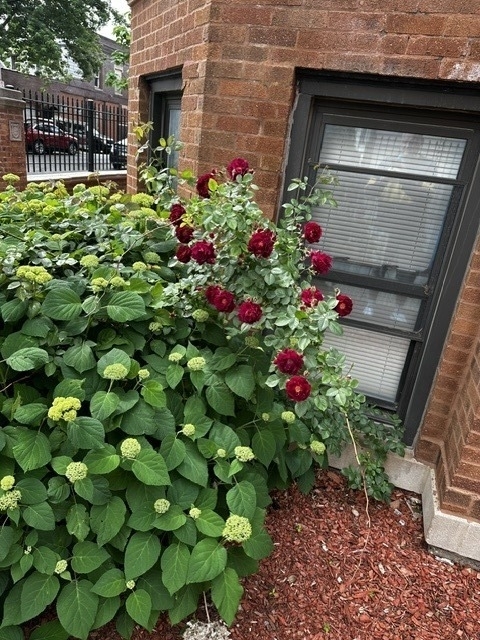 1614 N Harding Avenue - Photo 19