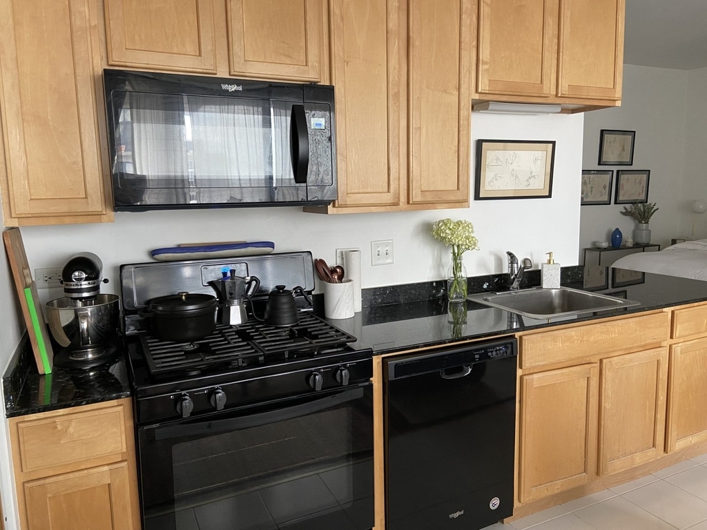 210 S Desplaines Street - Photo 1