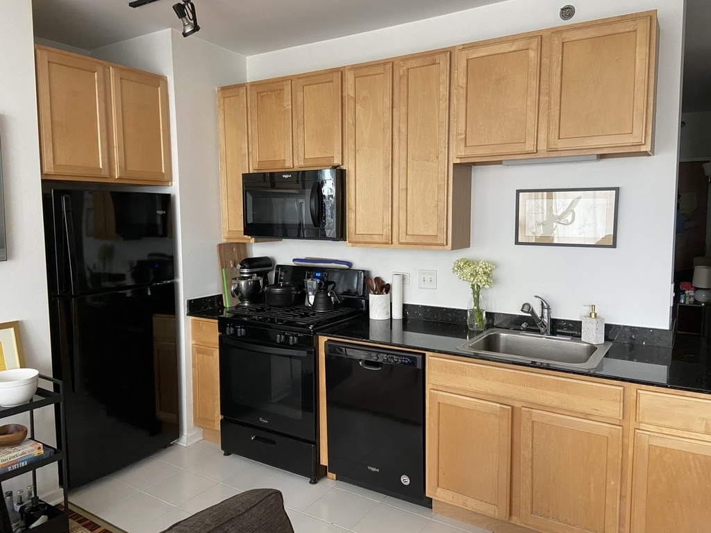210 S Desplaines Street - Photo 2