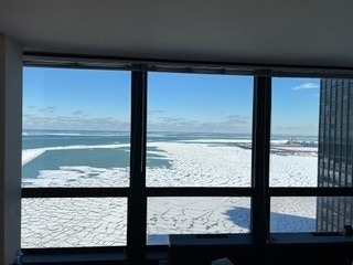 910 N Lake Shore Drive - Photo 32