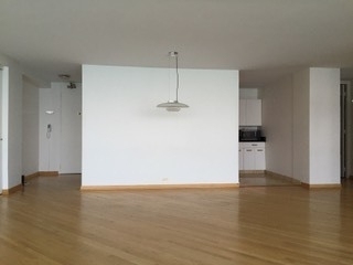 910 N Lake Shore Drive - Photo 12