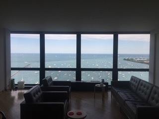 910 N Lake Shore Drive - Photo 14