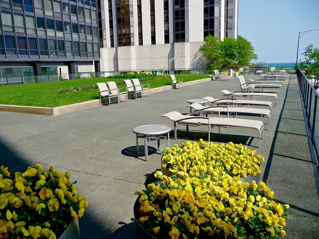 910 N Lake Shore Drive - Photo 38