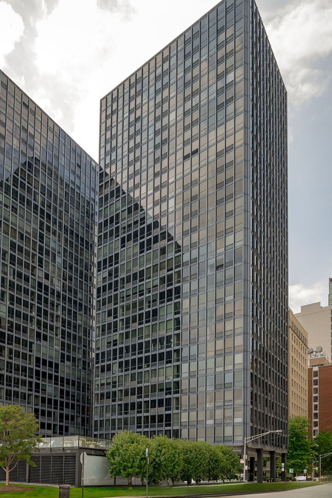 910 N Lake Shore Drive - Photo 42
