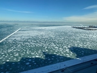 910 N Lake Shore Drive - Photo 30