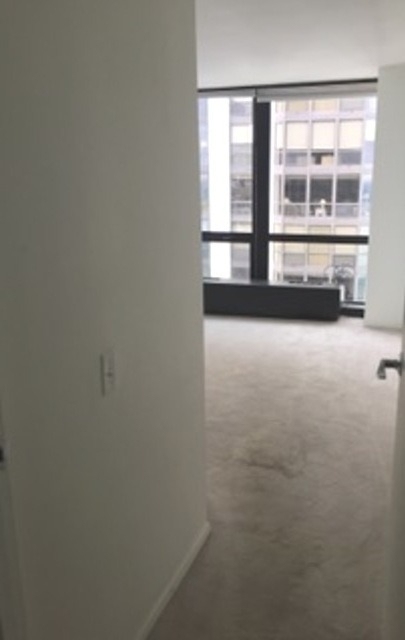 910 N Lake Shore Drive - Photo 6