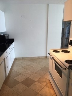 910 N Lake Shore Drive - Photo 11