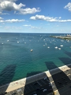 910 N Lake Shore Drive - Photo 25