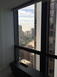 910 N Lake Shore Drive - Photo 7