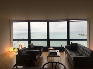910 N Lake Shore Drive - Photo 18