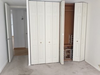 910 N Lake Shore Drive - Photo 8