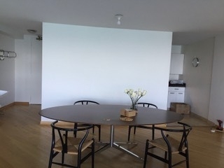910 N Lake Shore Drive - Photo 13
