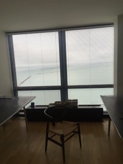 910 N Lake Shore Drive - Photo 19