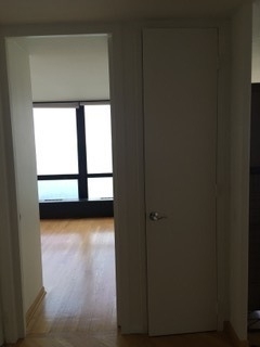910 N Lake Shore Drive - Photo 2