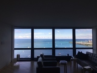 910 N Lake Shore Drive - Photo 15