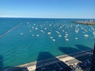 910 N Lake Shore Drive - Photo 29