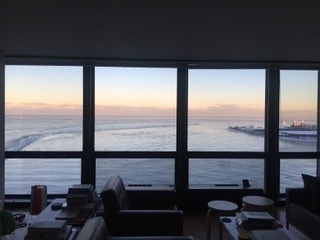 910 N Lake Shore Drive - Photo 23