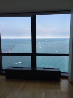 910 N Lake Shore Drive - Photo 3