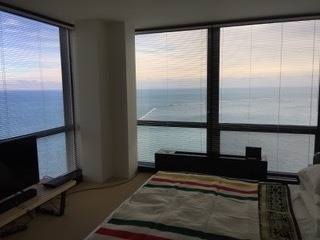 910 N Lake Shore Drive - Photo 21