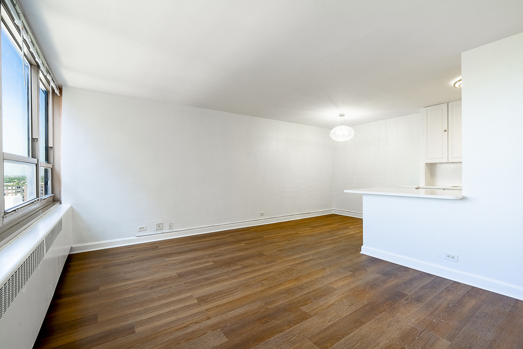 3950 N Lake Shore Drive - Photo 3