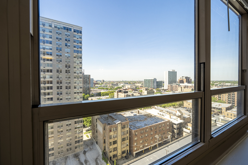 3950 N Lake Shore Drive - Photo 15