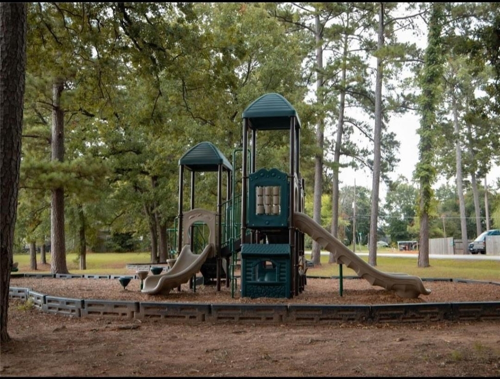 10108 Barberry Street - Photo 12