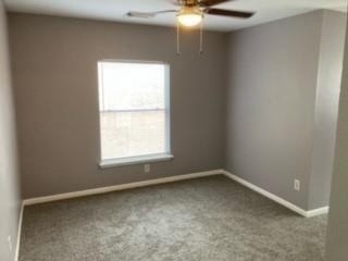 20507 Big Wells Drive - Photo 24
