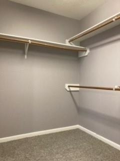 20507 Big Wells Drive - Photo 15