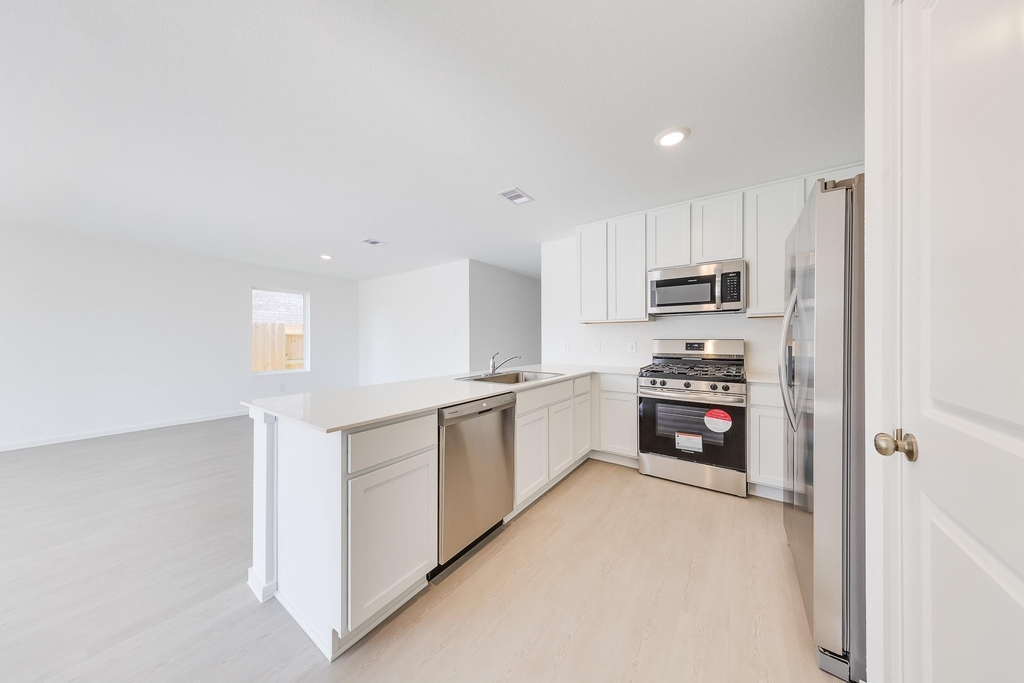 29043 Pearl Barley Way - Photo 7