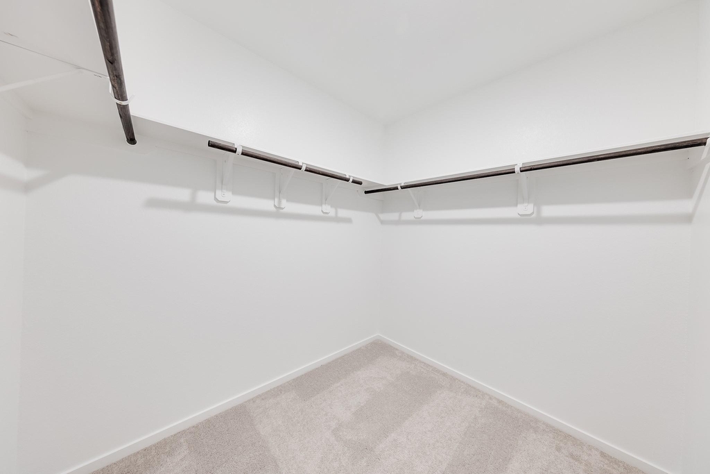 29043 Pearl Barley Way - Photo 20