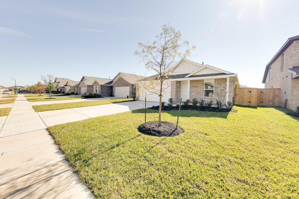 29043 Pearl Barley Way - Photo 26