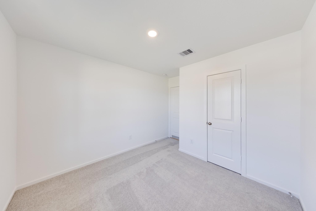 29043 Pearl Barley Way - Photo 15
