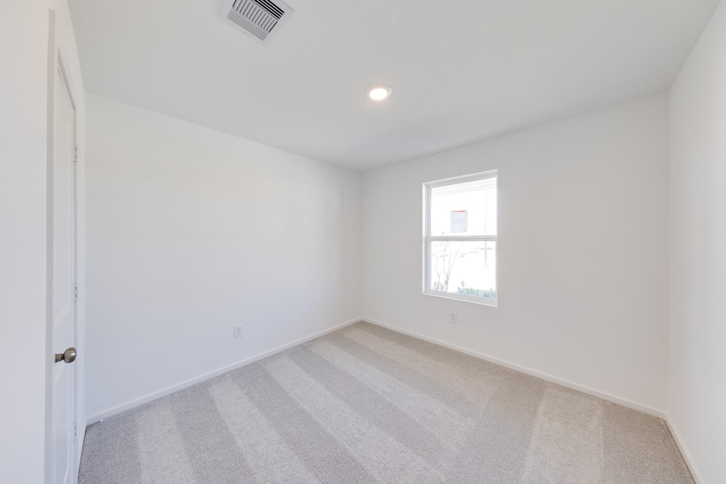 29043 Pearl Barley Way - Photo 11