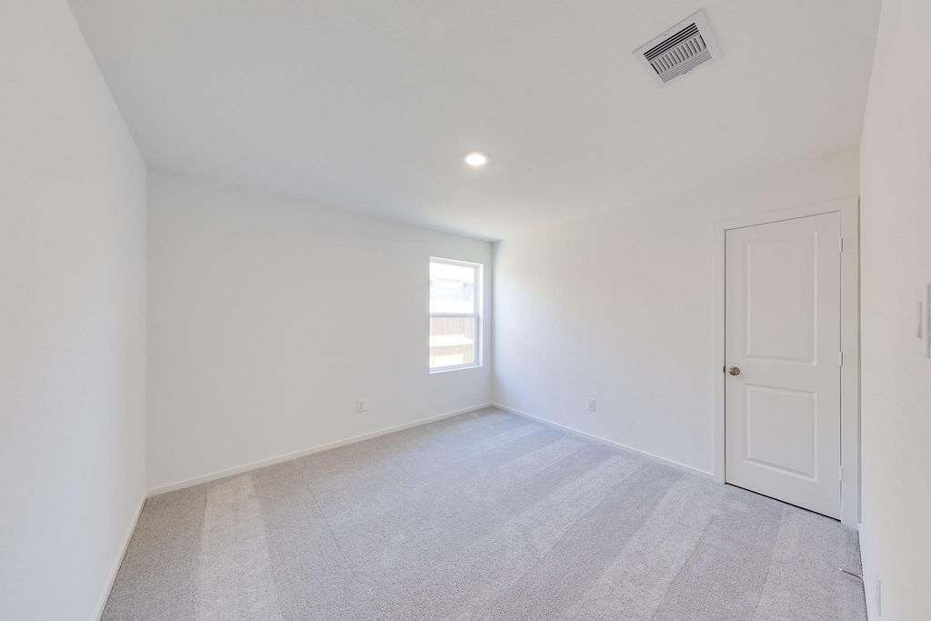 29043 Pearl Barley Way - Photo 18