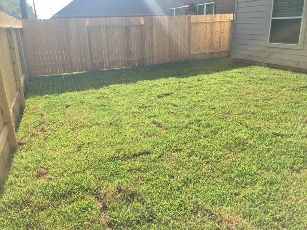 11911 Pia Drive - Photo 1