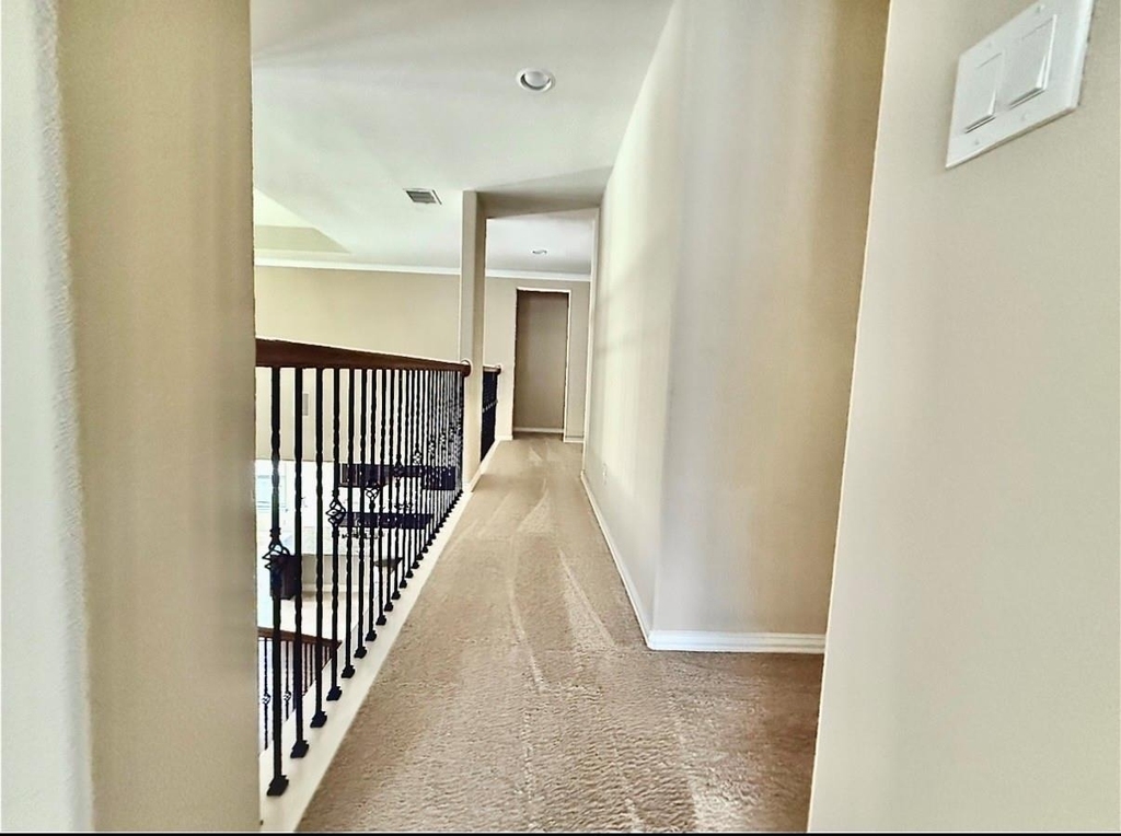 10314 Hatcher Dr - Photo 35