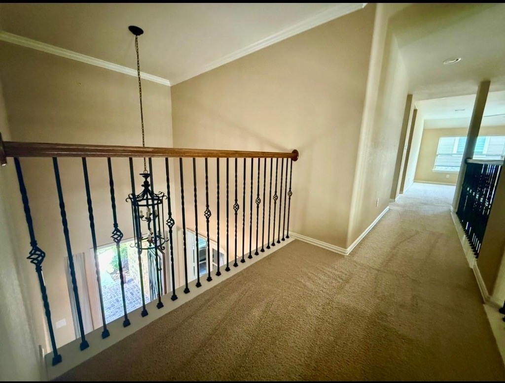 10314 Hatcher Dr - Photo 30