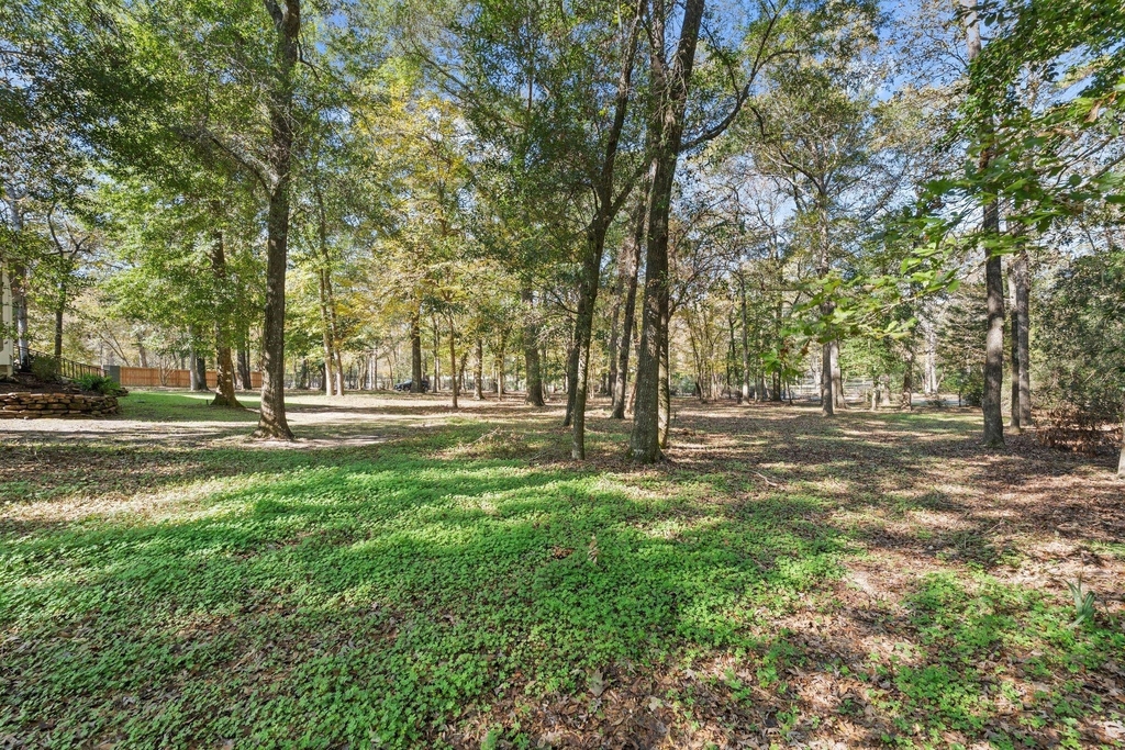 11085 Jake Pearson Road - Photo 46