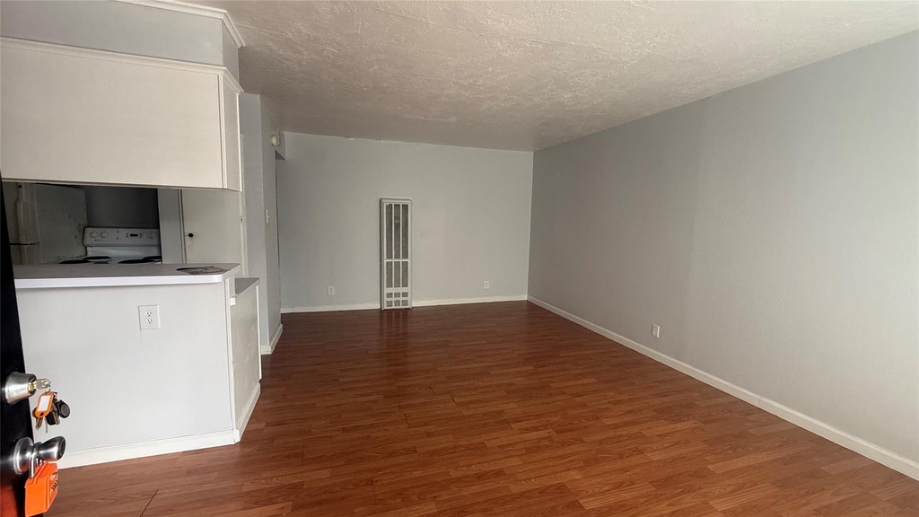 519 Branard St Street - Photo 1