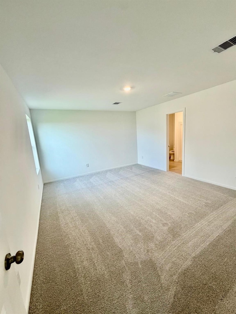 28807 Golden Wheat Ct - Photo 8