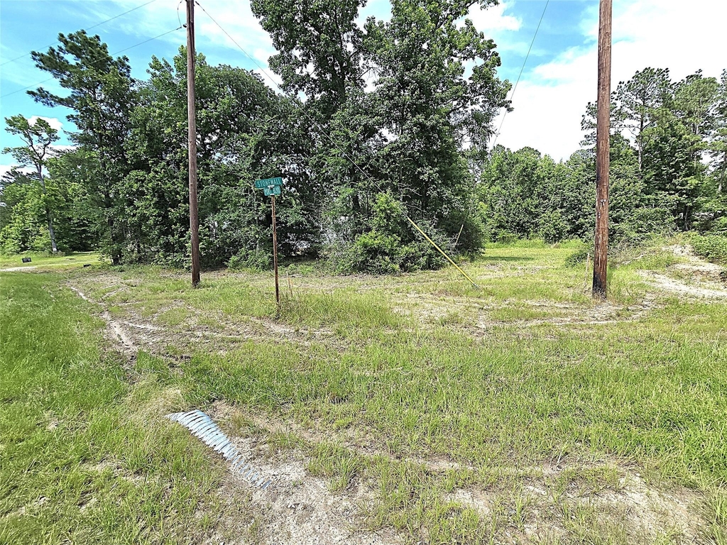 215 Buffalo Way - Photo 15