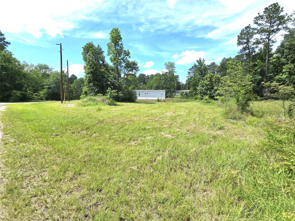 215 Buffalo Way - Photo 3