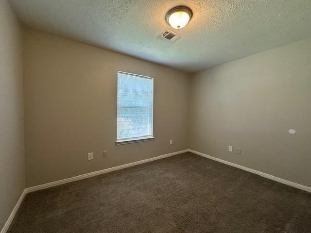 16313 Many Trees Lane - Photo 11