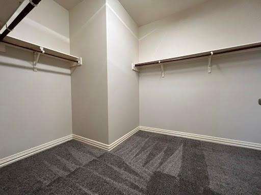 3518 Ellies Lane - Photo 17