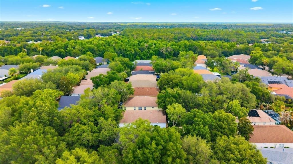 6125 Gannetwood Place - Photo 37