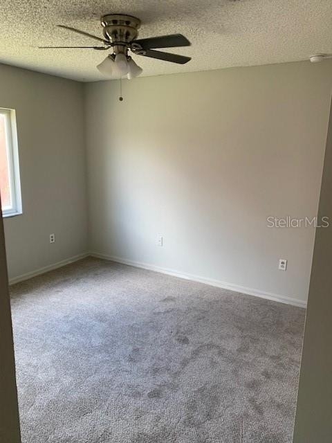 11802 Lynmoor Drive - Photo 7
