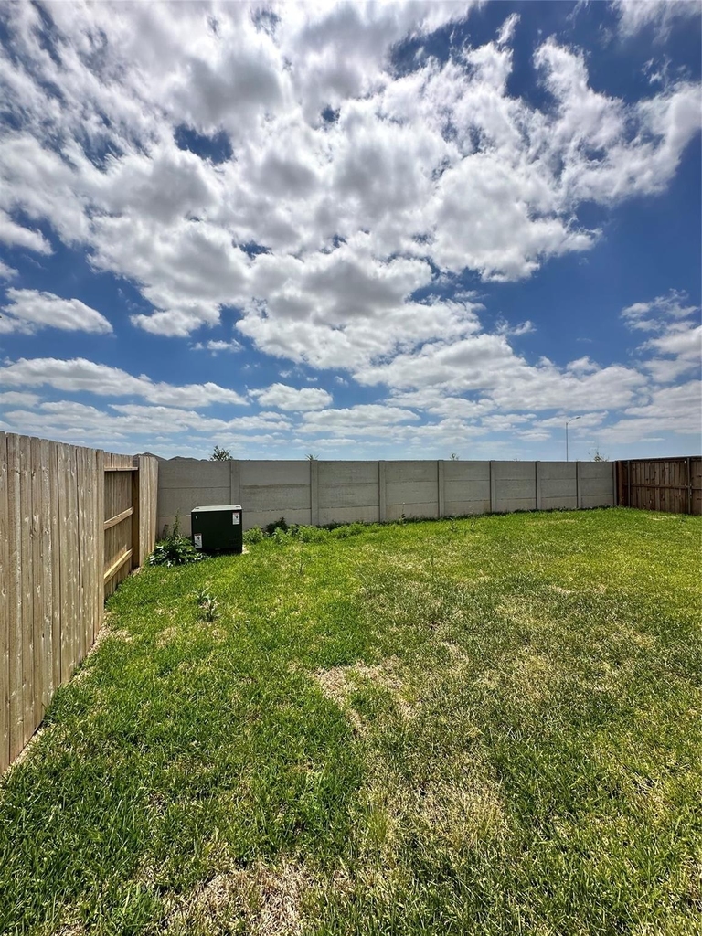 6726 Violet Clover Avenue - Photo 33