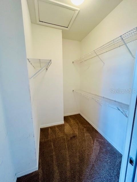 1750 Coriander Drive - Photo 9