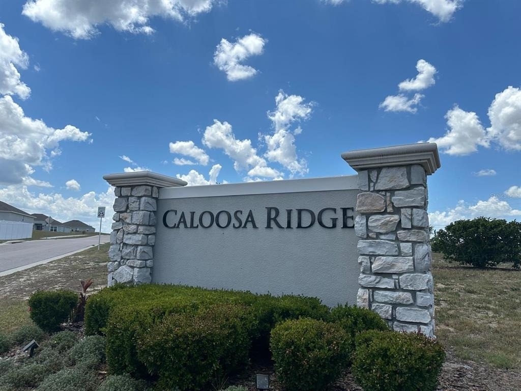 1116 Caloosa Ridge Way - Photo 19