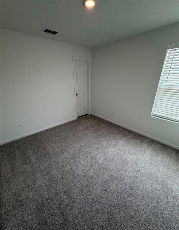 5513 Pimenta Court - Photo 13